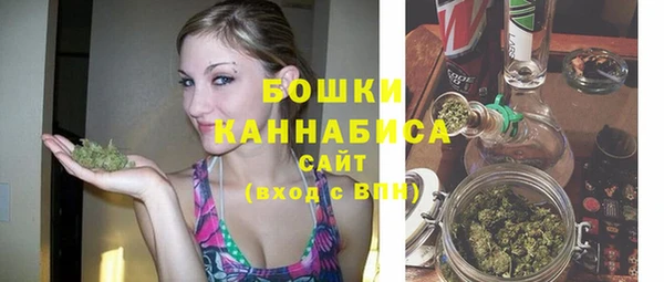 сатива Армянск