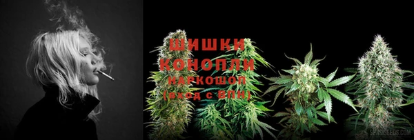 MESCALINE Аркадак