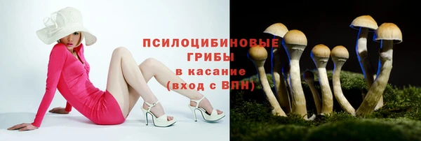 сатива Армянск