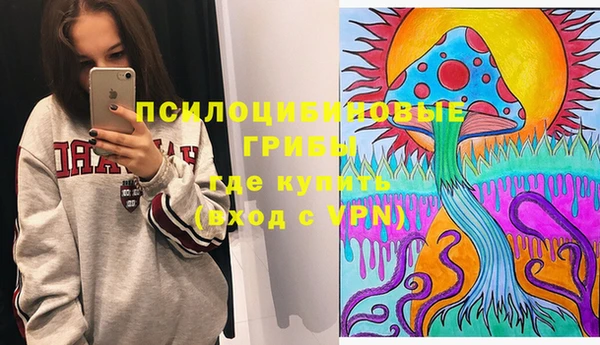 сатива Армянск