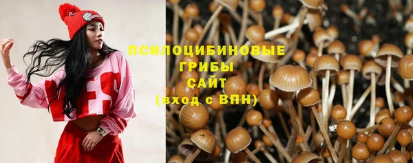 MESCALINE Аркадак